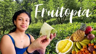 My Delicious Village | A Tropical Fruity Fantasy at My Sri Lankan Village