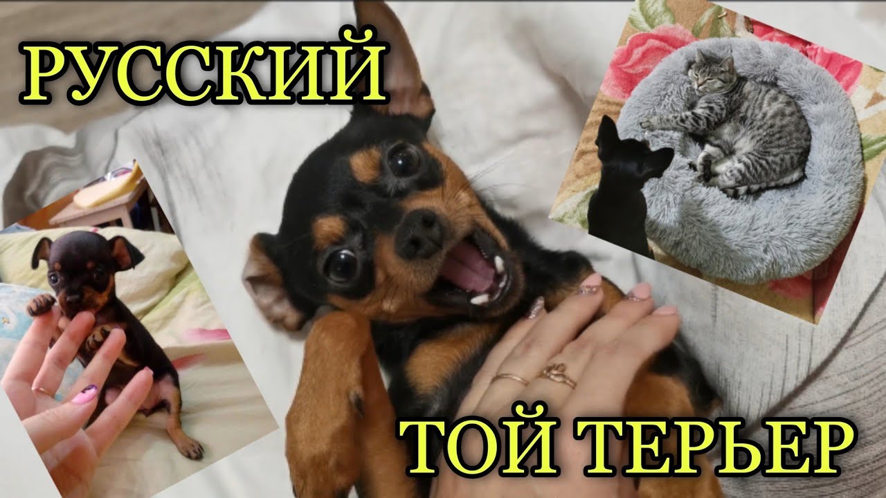 3 3