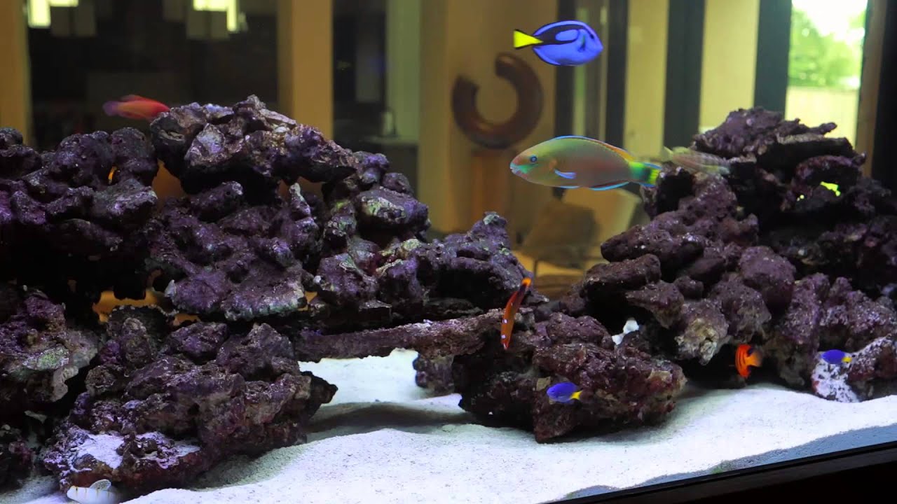 Real Reef Rock - Riffgestein Platten - Riff Toys Meeresaquaristik