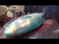 5Kg 1500Rs/ 21$ Parrot fish Cutting & Chopping in Indian fish Market