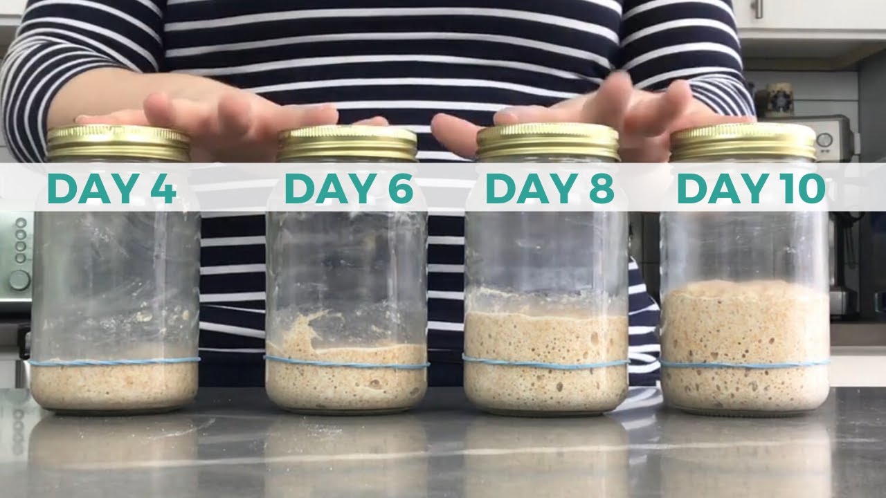 Full Proof Baking Sourdough Starter Kit | 1/2 Hour Guide Video (link) | Two  10oz Glass Smart Jars w/Thermometers, Rulers, Feeding Ratios | Digital