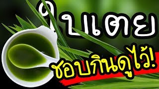 ใครชอบกินดูไว้ !!  'ใบเตย' สรรพคุณสุดเจ๋ง  สมุนไพรลดความดัน บำรุงหัวใจ | Nava DIY