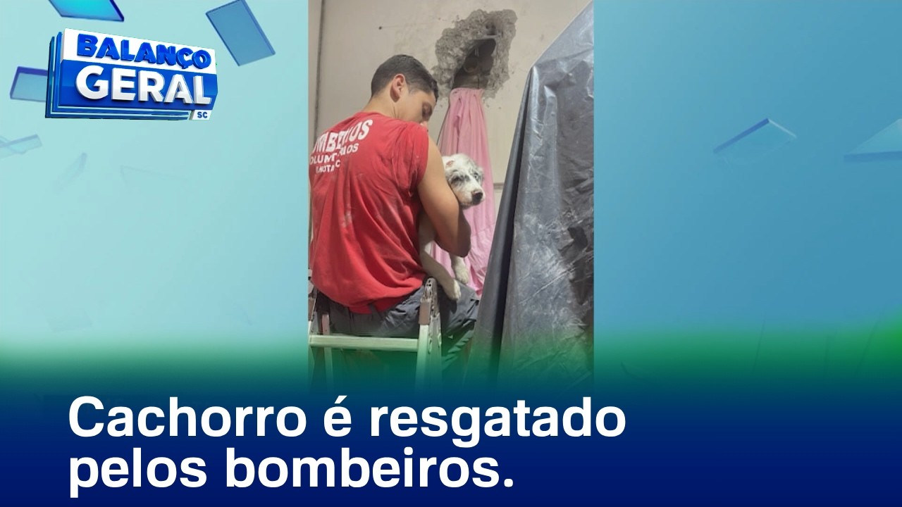 Ilhota: Cachorro é resgatado pelos bombeiros