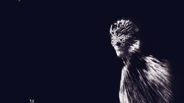 Kepler is Free feat. Kalli - Juno (Official music video)