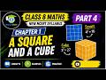 Class 8 Maths Chapter 1 | A Squares & a Cube | NCERT New Syllabus | Part 4