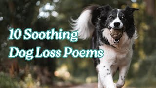 10 Soothing Dog Loss Poems for Comfort and Healing 10 Soothing Dog Loss Poems for Comfort and Healing
