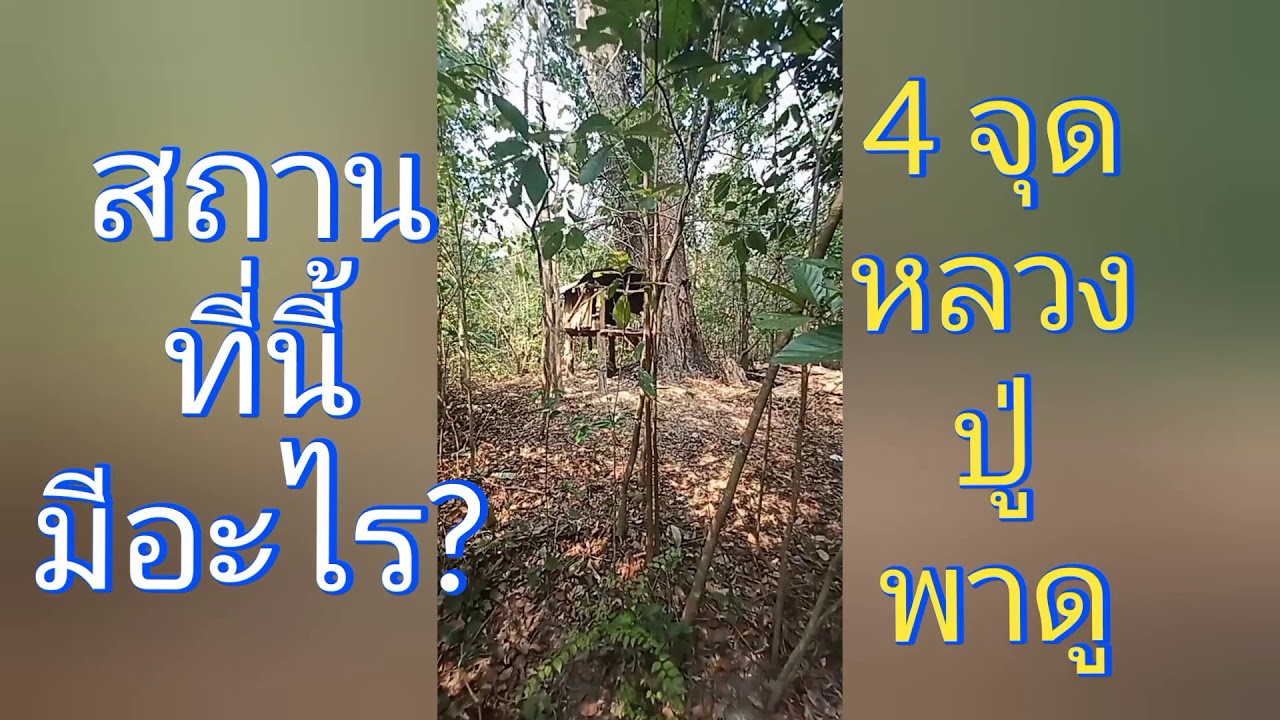 อำเภอ พนม ดง รัก  2022 New  หลวงปู่สรวงไปพนมดงรักดู4จุดตระเปียงบังเปื่อน