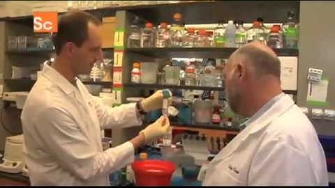 Scientists Create the First Synthetic Cell.flv