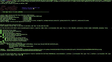 Corda Settler Code Review