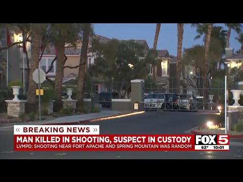 Police: Woman killed Las Vegas man working as carpet cleaner in ‘random shooting’