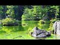 4K映像  絶景「新緑の上高地 神聖な明神池 明神岳」 日本の美しい四季 長野県松本市 5月下旬 自然風景