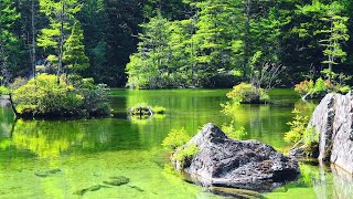 4K映像  絶景「新緑の上高地 神聖な明神池 明神岳」 日本の美しい四季 長野県松本市 5月下旬 自然風景