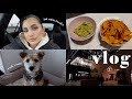 VLOG: mój sposób na koczka, przepis na guacamole i rok Zori z nami | Natalia Trojan