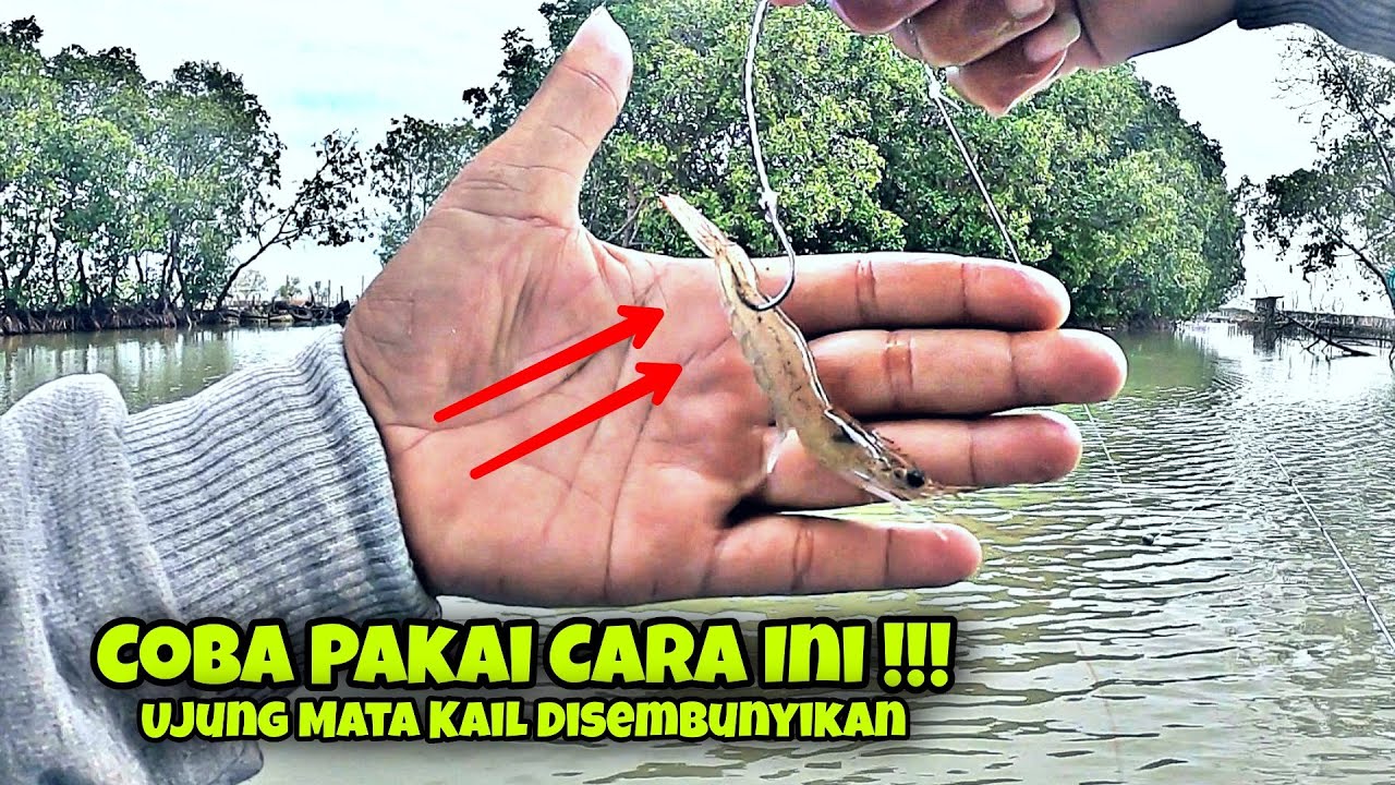 Mancing Kerapu Di Spot Yang Banyak Cantolan Dan Sangkutan