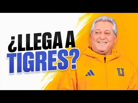 What is known about Vucetich as a possible head coach for Club Tigres 2026