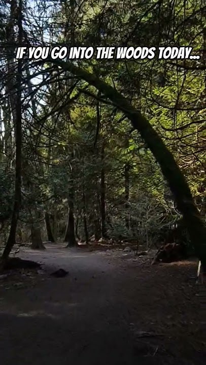 If You Go Into The Woods Today Song If you go into the woods today... - YouTube
