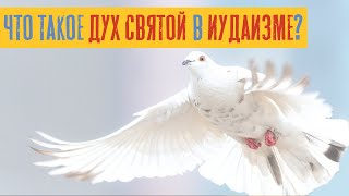 видео: Что такое Дух святой в иудаизме? | Раввин Михаил Финкель картинка: Что такое Дух святой в иудаизме? | Раввин Михаил Финкель