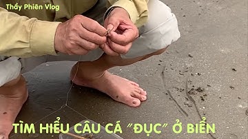 KHÁM PHÁ ĐÓ ĐÂY: NGHỀ CÂU CÁ ĐỤC Ở BỜ BIỂN