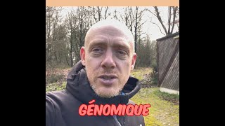 Le Prix Dun Chiot Malinois