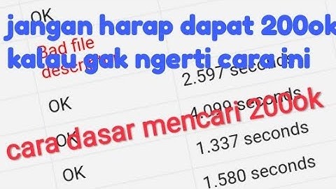 CARA DASAR CARI BUG 200 OK