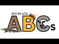 Alphabet Animals | Learn the ABCs with Animals | Educational ABC Animal Phonics for Kids