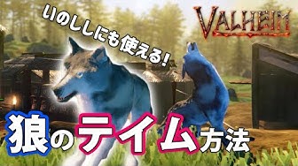 テイム Youtube