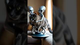 alien cat, alien cat meme, alien cat mask, alien cat 1 hour, alien #aliensmovie #alienuniverse