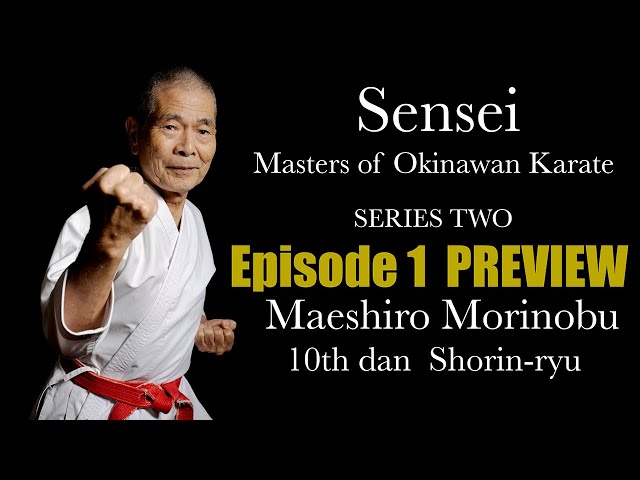 SENSEI Series Two #1 PREVIEW - Maeshiro Morinobu