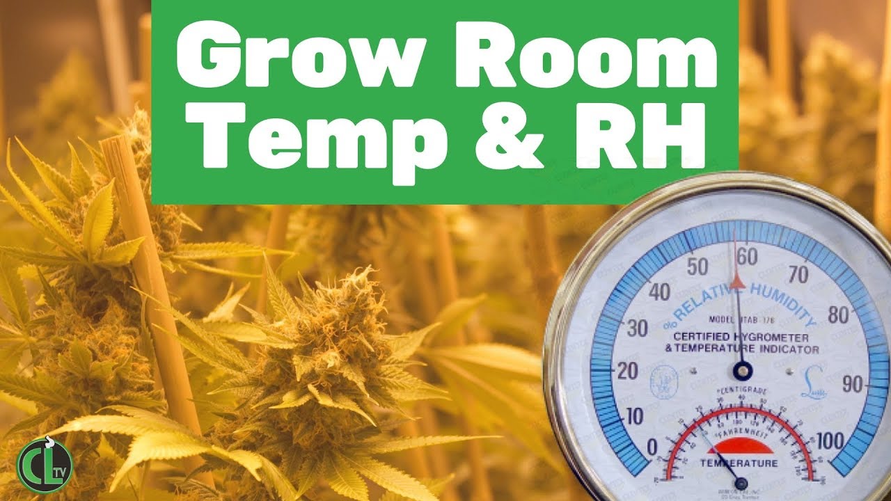 Ideal Grow Room Humidity (RH) and Temperature - YouTube
