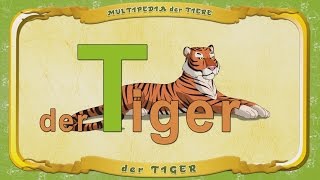 Multipedia Der Tiere. Buchstabe T - Der Tiger