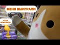 ГИГАНТСКОГО КОТА ВЫИГРАЛ В АВТОМАТАХ ХВАТАЙКА  И КУЧУ ШОКОЛАДА! Won the big cat in the machine!