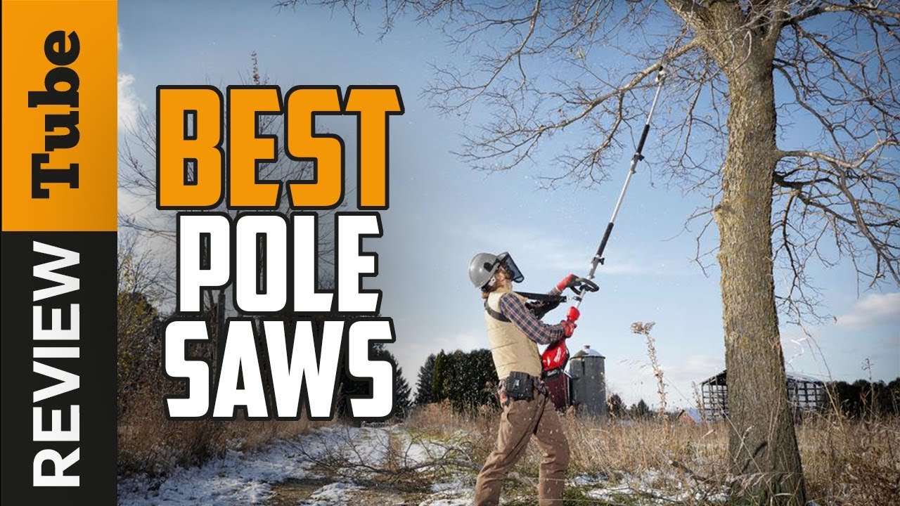 ✓ Pole Saw: Best Pole Saws (Buying 