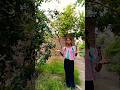 Amaira phool chori kar rahi hai 😂😂 #shortvideo #funny #comedy #viralshort