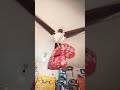 Fan crazy funny #exprement #fan #ceilingfan