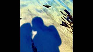 "Our Song" (Willie Nelson) cover by Dave Neves