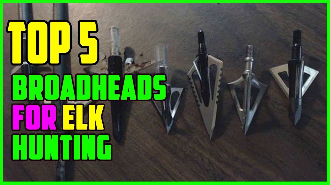 TOP 5 Best Broadheads for Elk Hunting 2022 YouTube