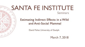 Estimating Indirect Effects in a Wild and Anti-Social Mammal