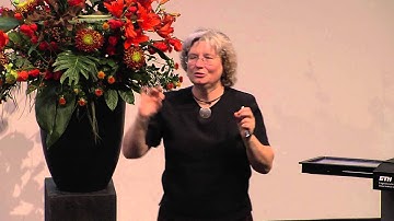 Pauli Lectures 2015: Surfing with Wavelets