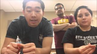 VIDEO PROGRESS REPORT 4  EEE489