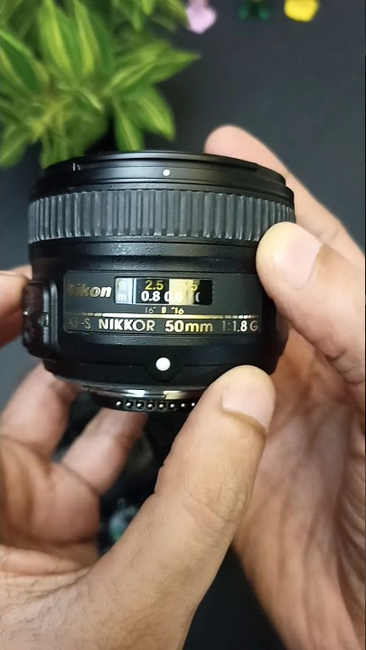 Nikon D5300 photography with 50mm f1.8g lens #shorts