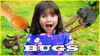 Bug Hunt In The Woods Find Bugs Under Logs With Zoe Bonus Bull Ants Australia