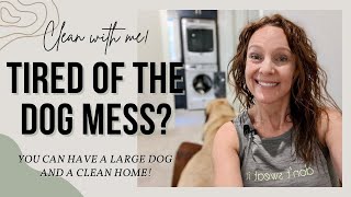 How To Have Large Dogs AND a Clean House | CLEAN WITH ME &amp; Learn My Top Sanity-Saving Tips