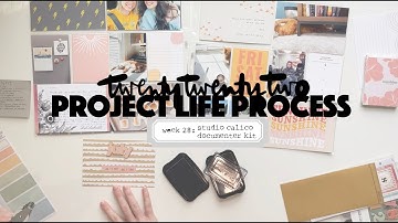 2022 Project Life Process: Week 28 Studio Calico July Documenter Kit