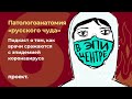 «У нас не существует истинной статистики». Патологоанатомы о COVID-19