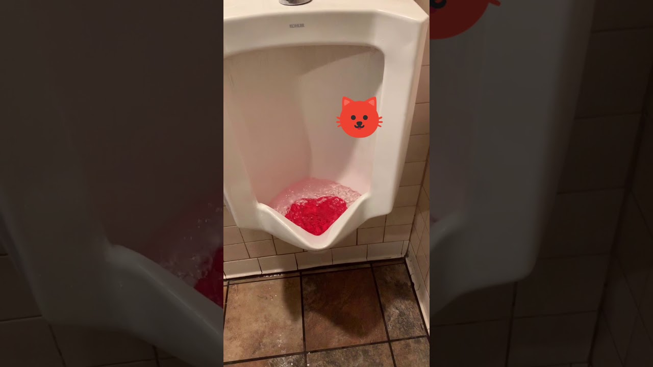 Overflowing urinal toilet with cat. YouTube