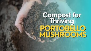 Turning Waste into Gold: Using Compost for Thriving Portobello Mushrooms