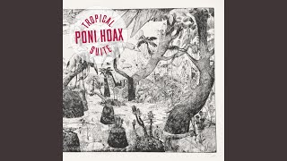 Vignette de la vidéo "Poni Hoax - The Gun"