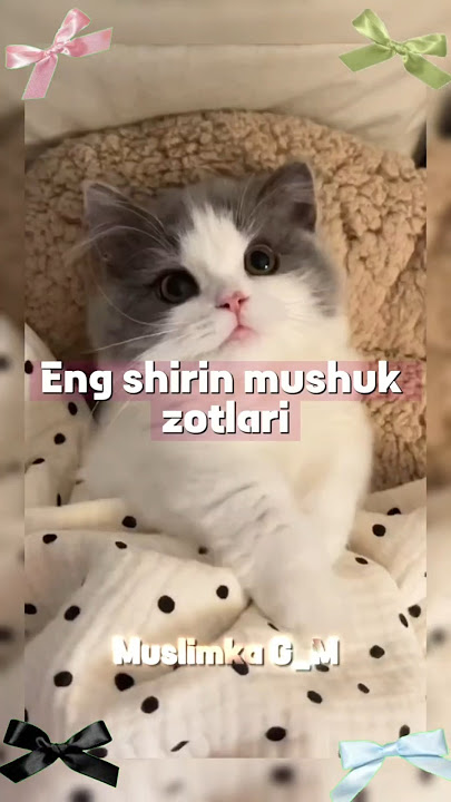 Ular Varyani stajyorlardan sikishdi