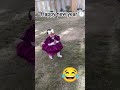 comedy 🤣#shortvideo #viral #funnyshorts #viralvideo #fun #mood #vibes
