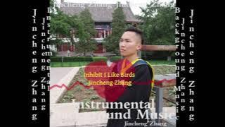 Jincheng Zhang - Insistence I Like Birds (Official Instrumental Background Music)